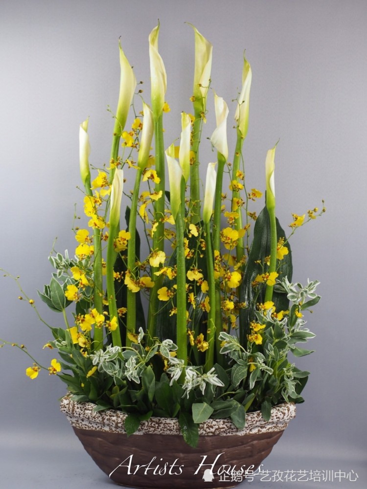  金球奖候选竞争激烈，年度最佳花落谁家